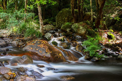 Stream flowing through rocks in forest