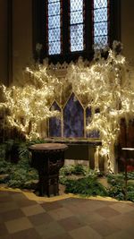 Illuminated christmas tree at home