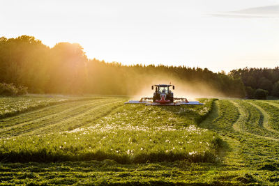 Tractor mowing grass