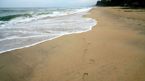 Scenic view of beach