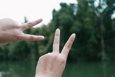 Close-up of human hand on tree