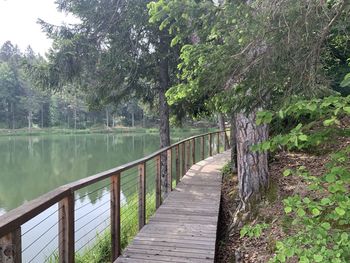 Wooden bridge over lake in forest