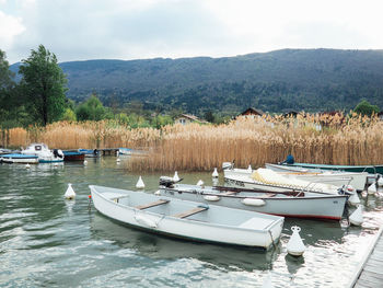 Boats moored at harbor against sky