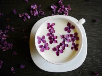 High angle view of pink flowers on table