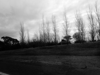 Bare trees on field against sky