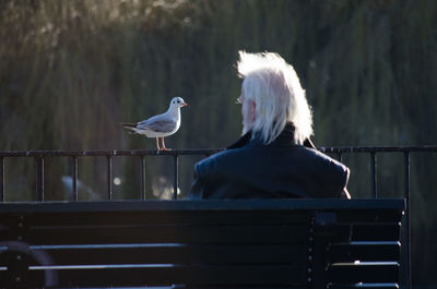 Rear view of woman perching on railing