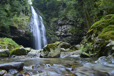 Scenic view of waterfall in forest