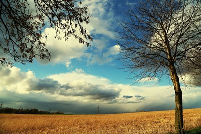 Scenic view of field against cloudy sky