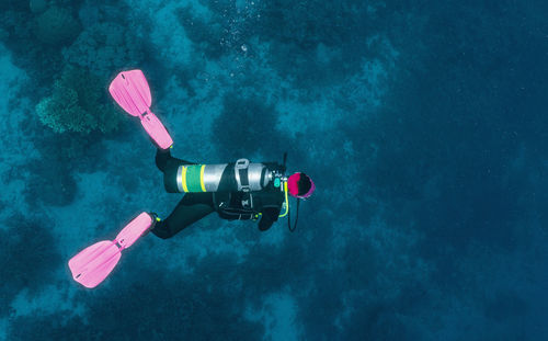 Diver exploring the great barrier reef