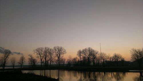 Silhouette of trees at sunset