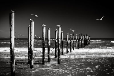 Wooden posts on beach against sky