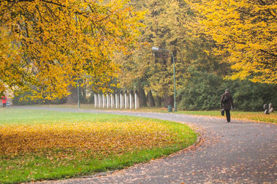 Person walking on footpath during autumn