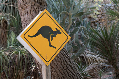 Close-up of road sign against trees