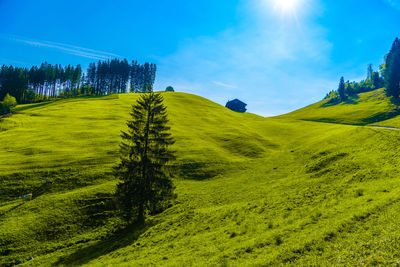 Scenic view of field against sky