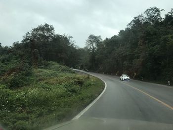 Road amidst trees against sky