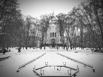 Bare trees by buildings during winter