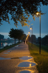 Street amidst trees in park at night