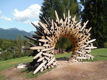 Trees on field against sky