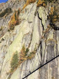 Scenic view of mountain