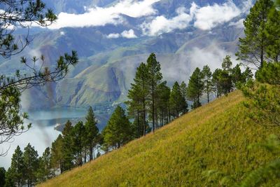 Panoramic view of trees and mountains against sky