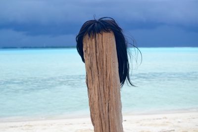 Tree trunk at beach against sky