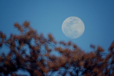 Low angle view of moon in sky