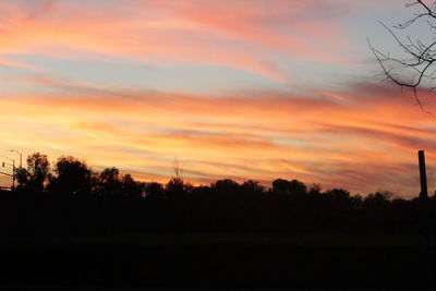 Silhouette of trees at sunset