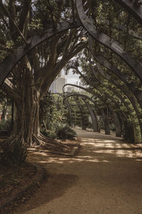Empty road along trees in forest