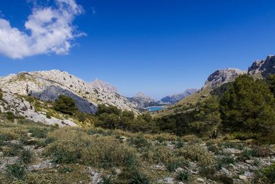 Scenic view of mountain against blue sky