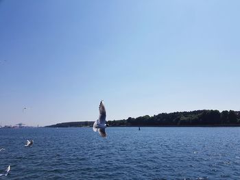 Man on sea against clear blue sky