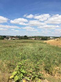 Scenic view of field against sky