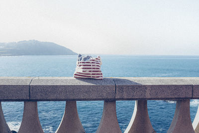 Rear view of woman sitting on railing against sea