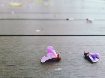 Close-up of pink rose on table