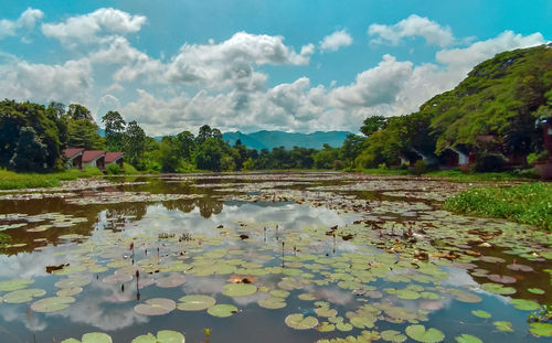 Scenic view of lake against sky