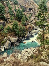 Scenic view of waterfall in forest