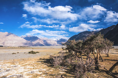 Panoramic view of landscape and mountains against sky