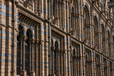 Full frame shot of natural history museum