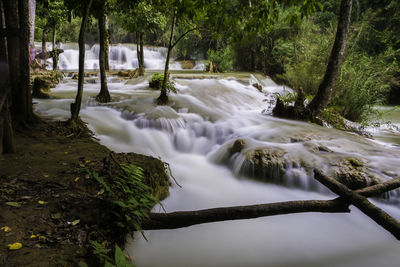 Scenic view of waterfall in forest