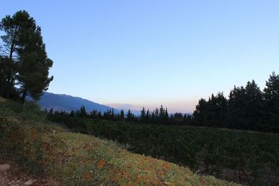 Scenic view of landscape against clear sky