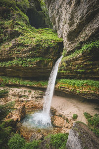 Scenic view of waterfall in forest