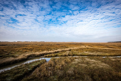 Scenic view of landscape against sky