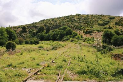 Scenic view of railroad track amidst trees against sky