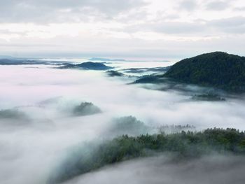 Heavy mist in landscape. magnificent autumn creamy fog in countryside. hill increased from fog