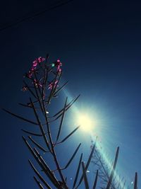 Low angle view of sun shining through clouds