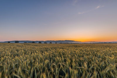 Scenic view of field against sky during sunset