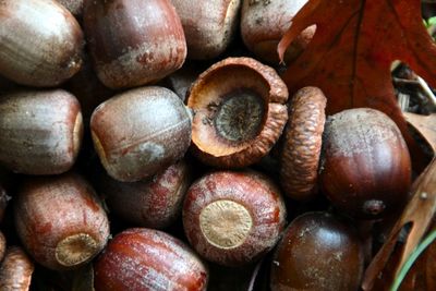 Full frame shot of fruits