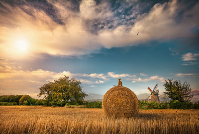 Hay bales on field against sky during sunset