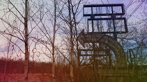 Bare trees against sky