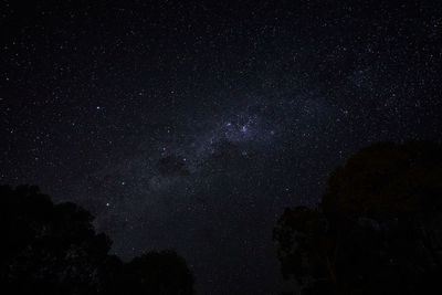 Low angle view of star field against sky at night