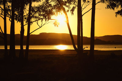 Silhouette trees by lake against sky during sunset